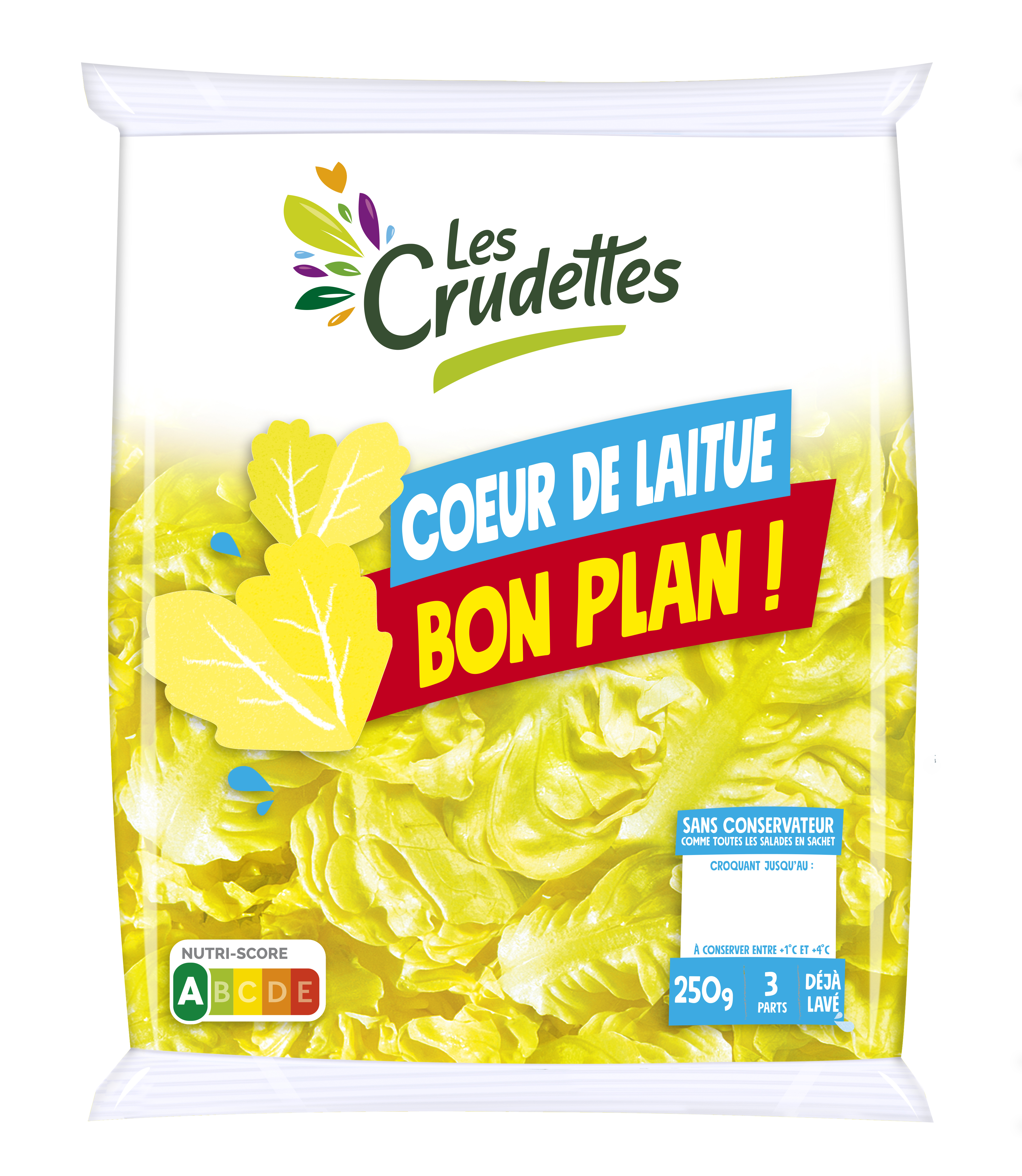 Coeur de Laitue Bon Plan