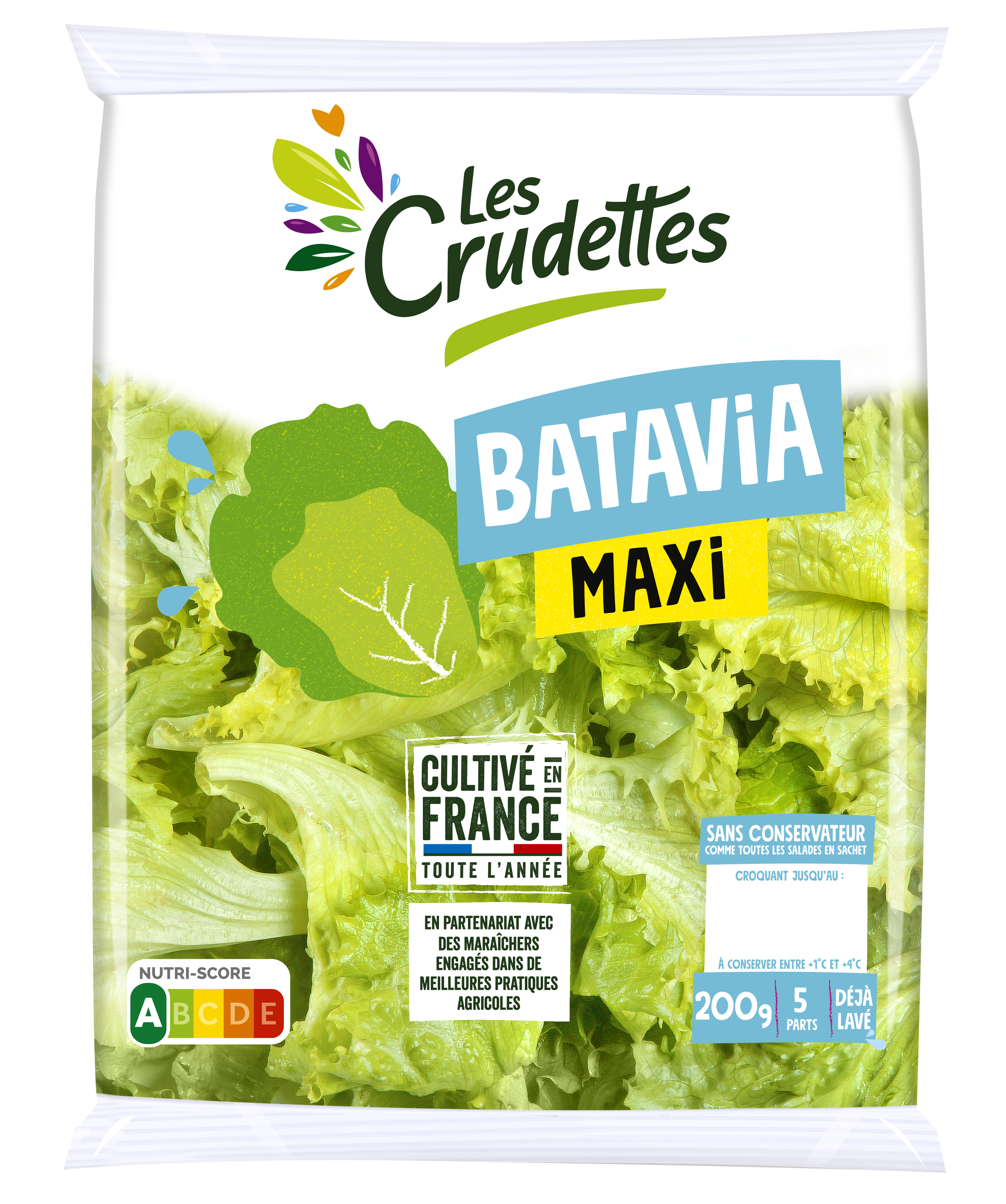Maxi batavia engagée