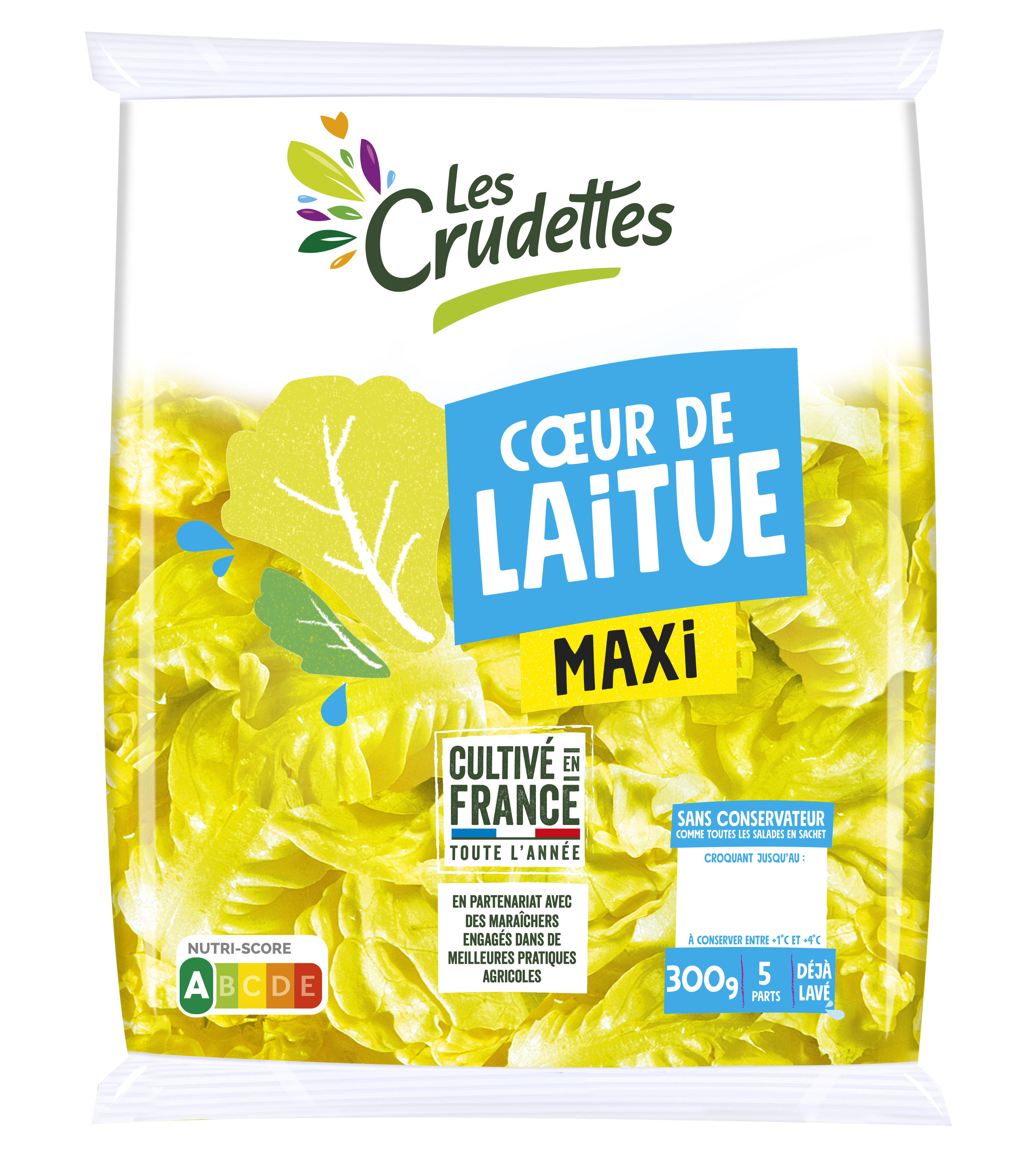 Maxi coeur de laitue engagée