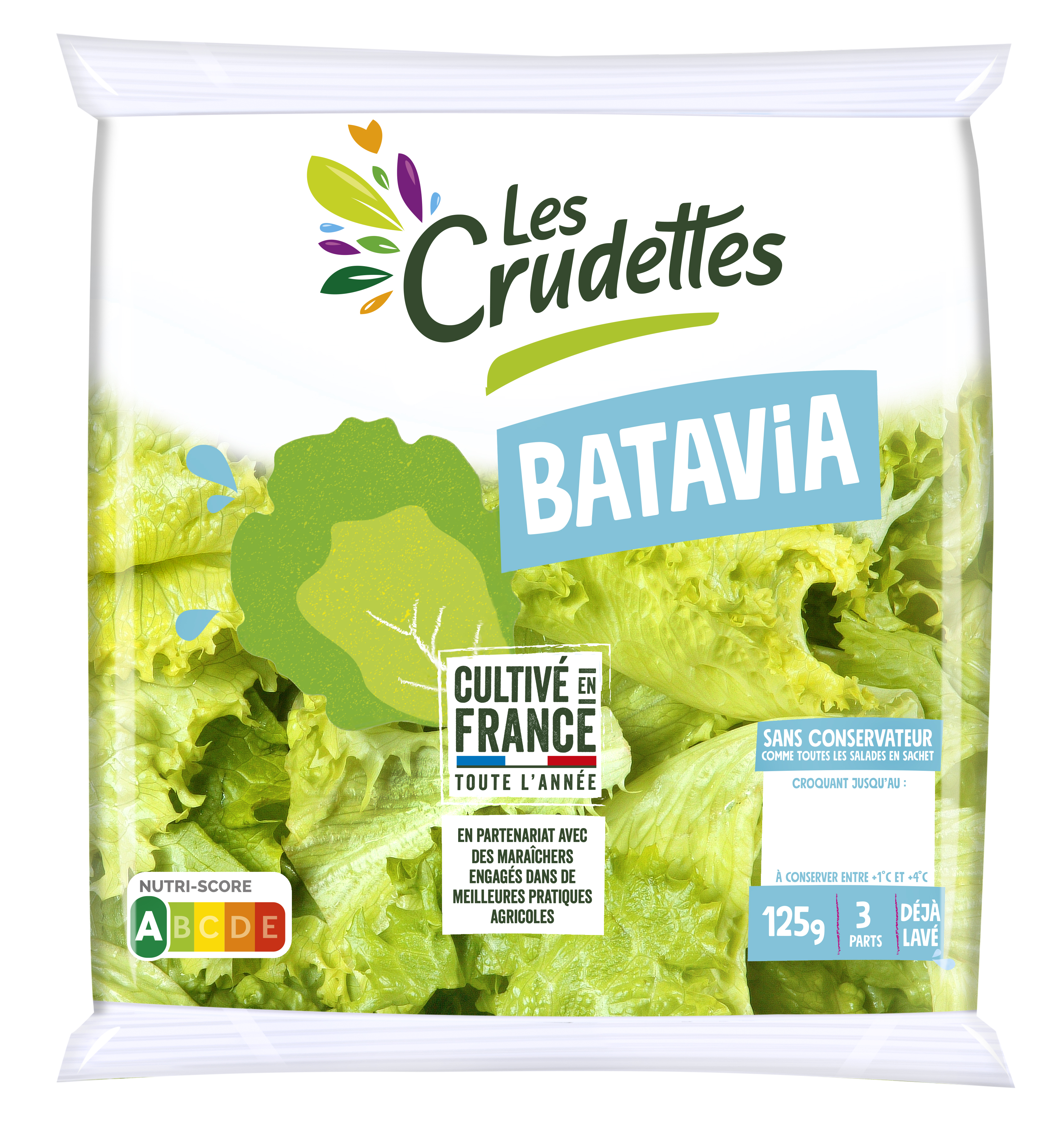 Batavia engagée