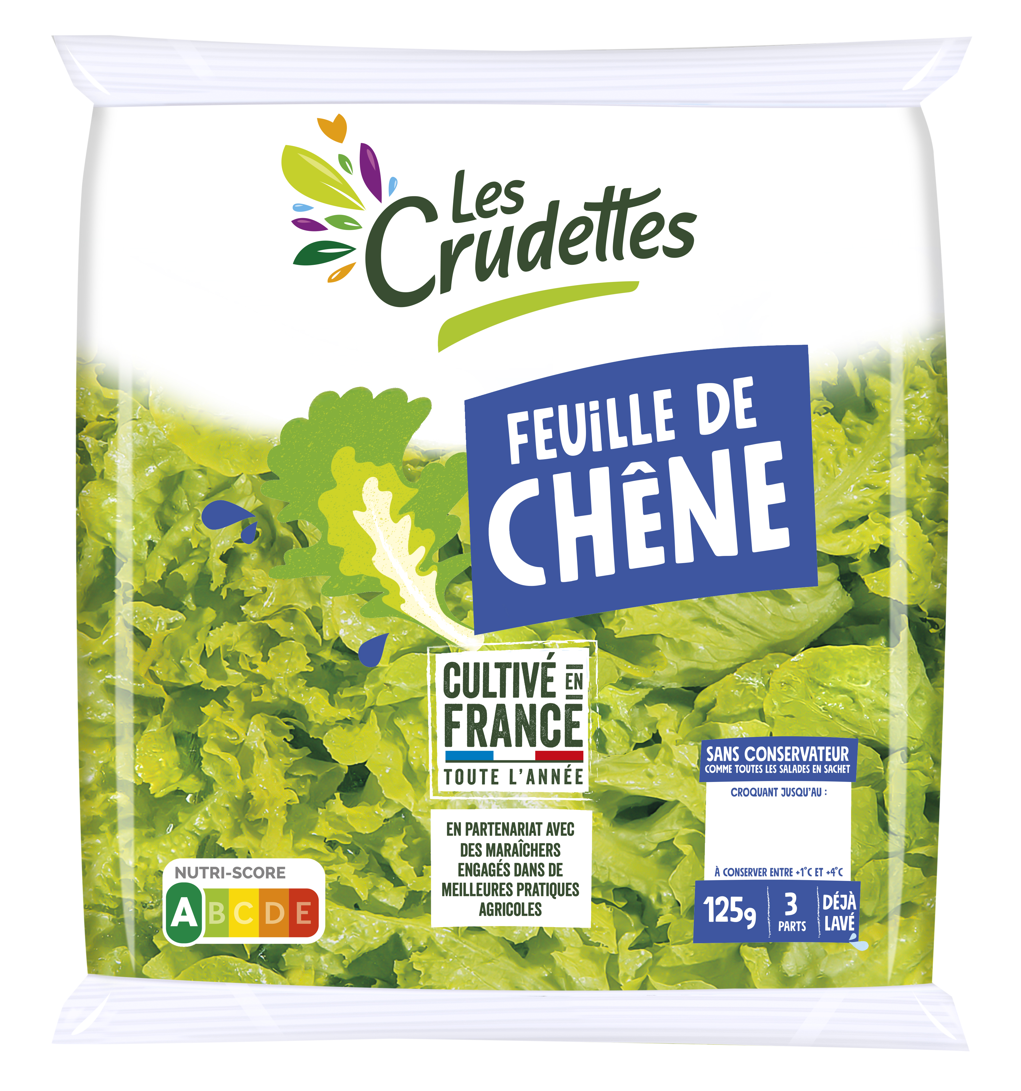 Feuille de chêne engagée