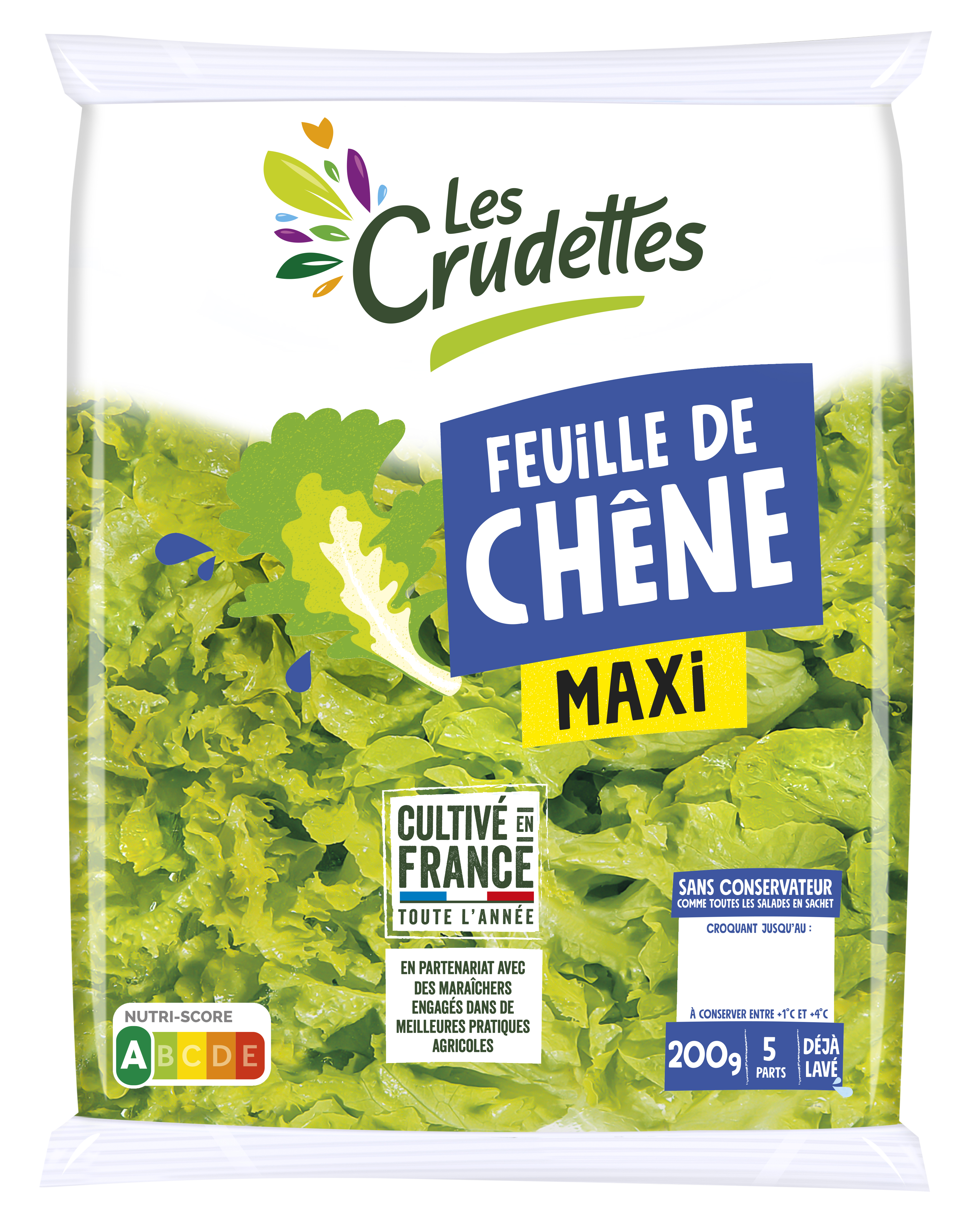 Maxi feuille de chêne engagée