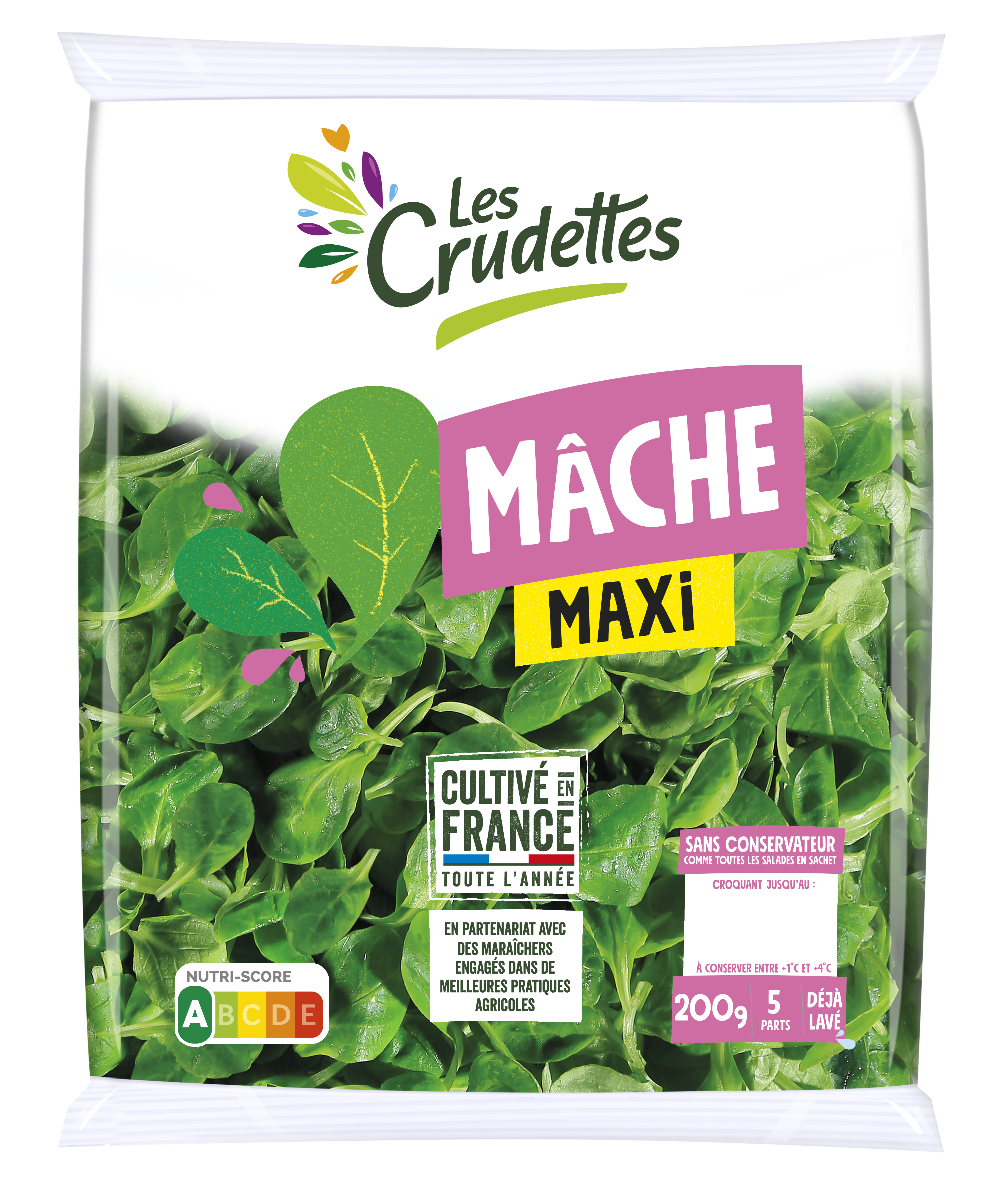 Mâche engagée