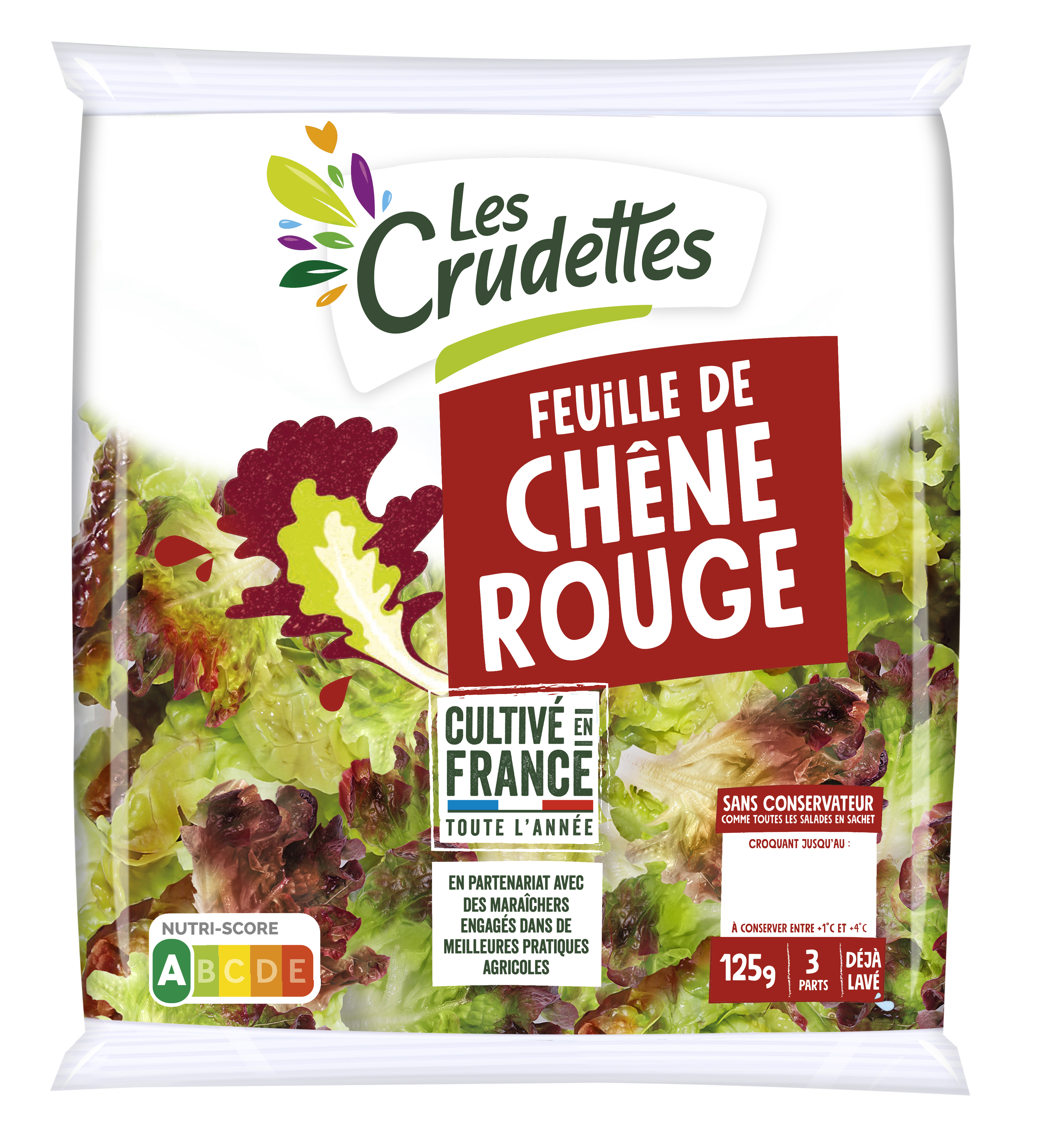 Feuille de chêne rouge engagée