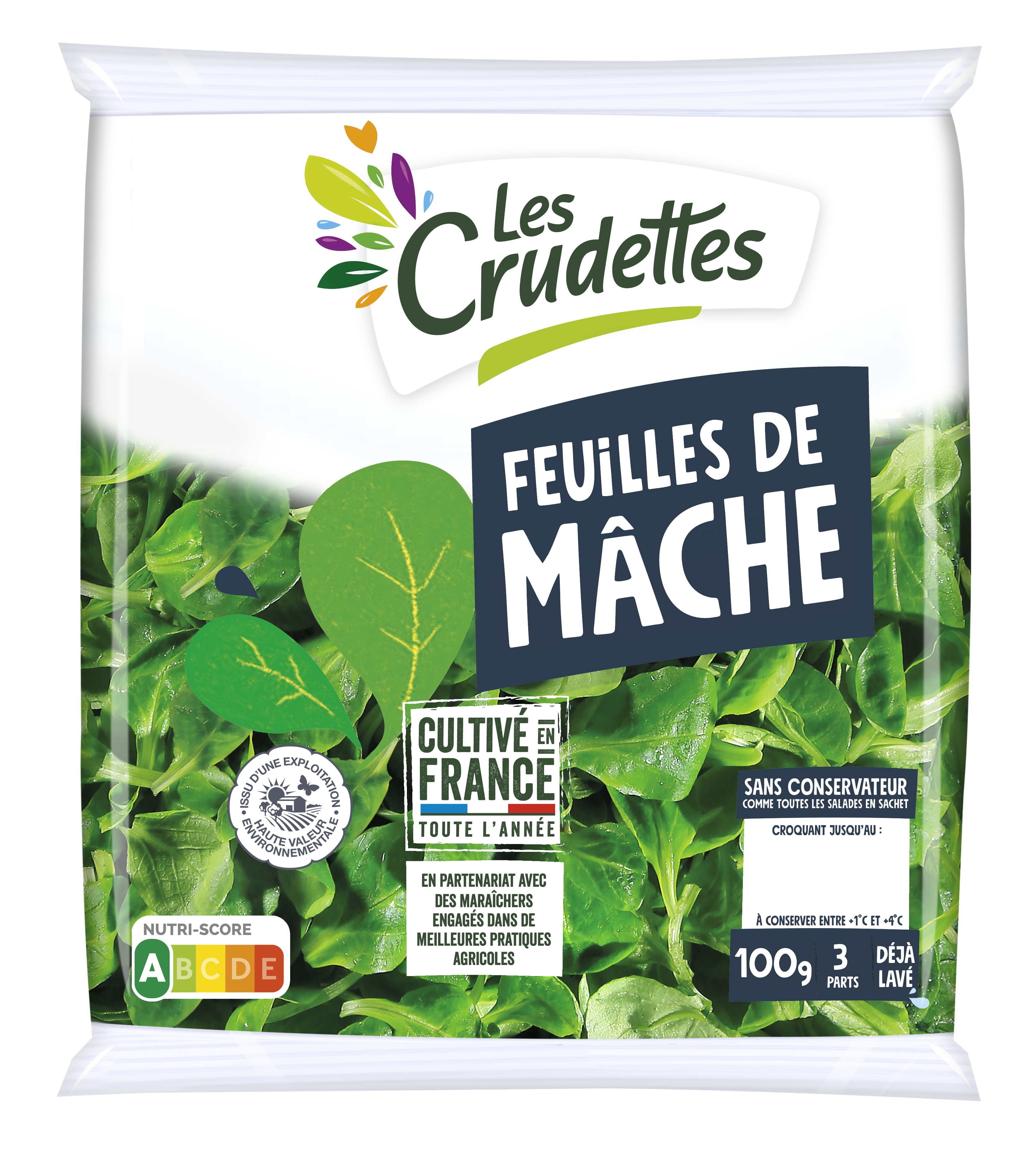 Feuilles de mâche engagée 