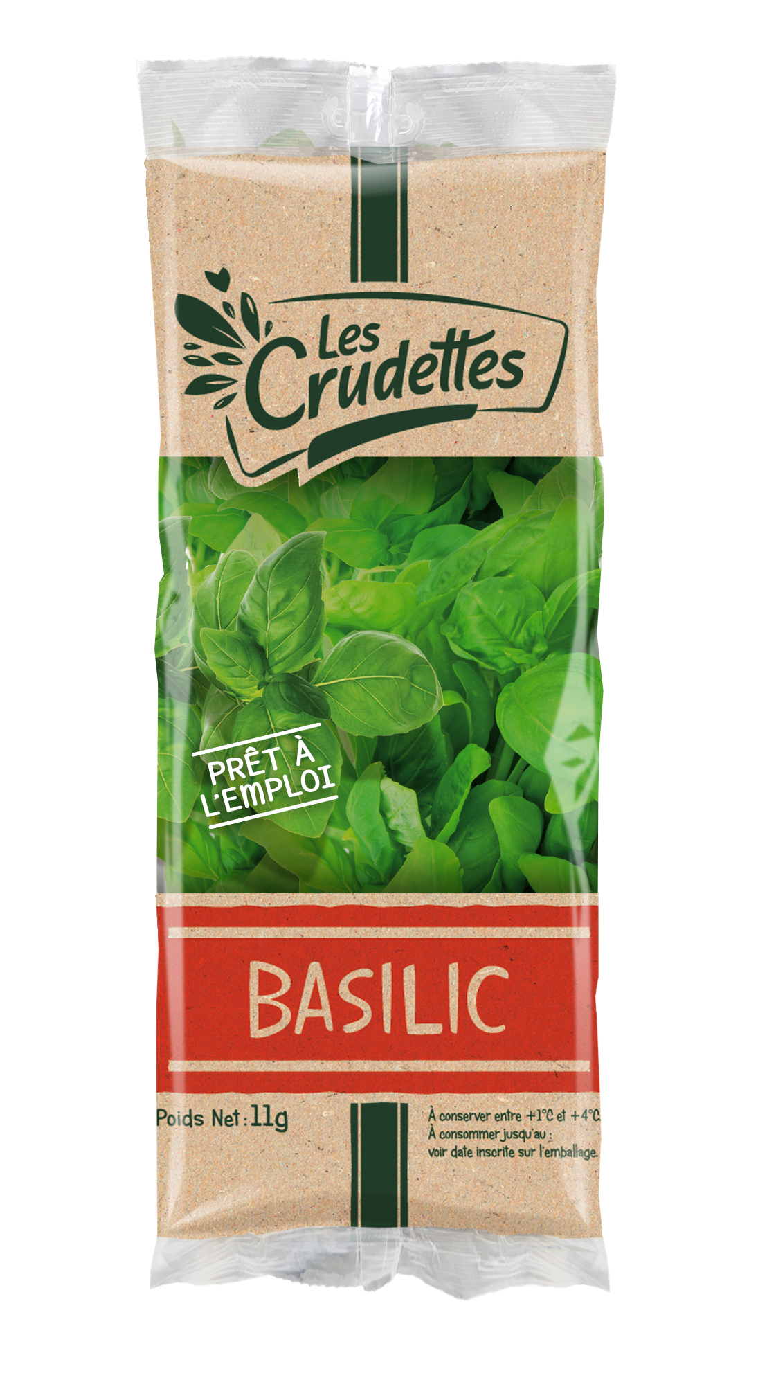 Basilic