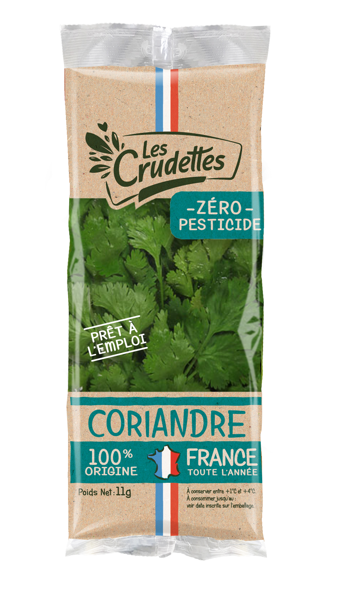 Coriandre 100% France et Zéro Pesticide
