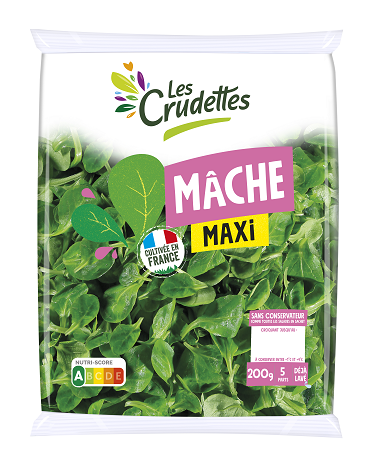 Mâche