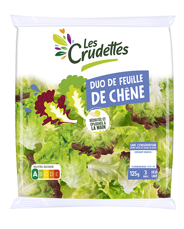 Duo de Feuille de chêne