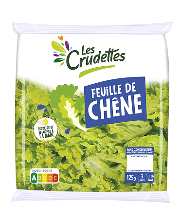 Feuille de chêne