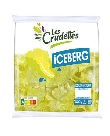 Iceberg